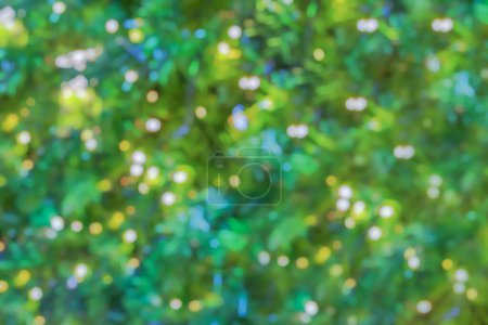 Photo for Abstract blurred christmas tree with bokeh light background - Royalty Free Image