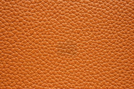 Téléchargez les photos : Cuir marron texture fond gros plan - en image libre de droit