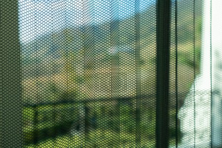 Foto de Pleated insect screen mosquito net on house window protection against insect - Imagen libre de derechos