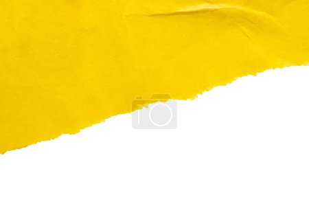 Foto de Yellow ripped paper torn edges strips isolated on white background - Imagen libre de derechos