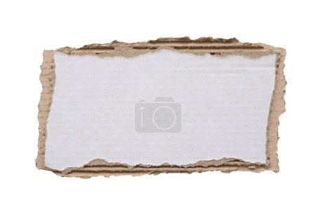 Piece of white paper tear isolated on white background