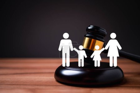 The family and child law concept is an essential part of the justice system, and courts play a crucial role in ensuring that the government's policies and laws regarding families, children are upheld.