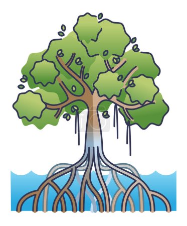Foto de Ilustración de un frondoso árbol de manglar con raíces intrincadas y follaje verde - Imagen libre de derechos