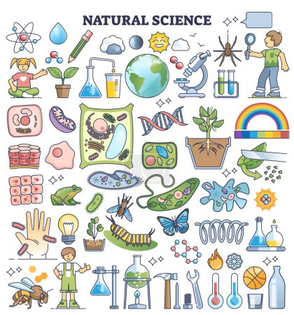 Naturwissenschaftliche Kinderelemente mit Biologie-Fächern skizzieren das Sammlungsset. Junge Naturforscher und wissenschaftliche Forschungsobjekte für Klassenexperimente und Vektor-Illustration zur Wissensentwicklung.