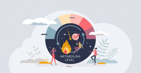 Illustration for Metabolism level measurement scale with speed of body burning calories tiny person concept. Medical indicator for health control and digestion circulation vector illustration. Food consumption speed. - Royalty Free Image