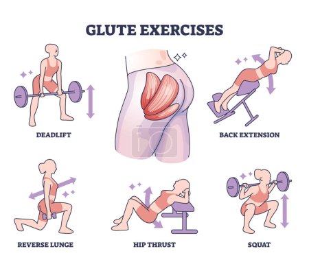 Téléchargez les illustrations : Glute exercises with body buttocks sport training examples outline diagram. Labeled educational butt fitness with deadlift, back extension, squat, hip thrust and lunge workout vector illustration. - en licence libre de droit