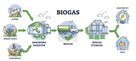 Illustration for Biogas production stages with bio gas generation explanation outline diagram. Labeled educational scheme with process from slurry and crops to storage and heating or electricity vector illustration. - Royalty Free Image