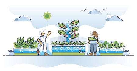 Illustration for Hydroponics farming as horticulture plant growing method outline concept. Smart automatic system without soil for effective growth vector illustration. Innovative technology for food production. - Royalty Free Image