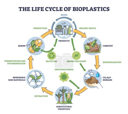 Ilustración de Life cycle of bioplastics and reusable materials production outline diagram. Labeled educational scheme with organic and nature friendly garbage management for sustainable planet vector illustration. - Imagen libre de derechos