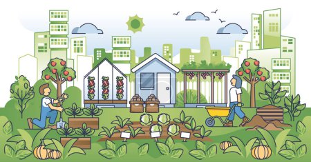 Urbane Landwirtschaft und ökologische Stadtgärtnerei skizzieren das Konzept. Ernte gepflanztes Gemüse und Gemüse als lokale Lebensmittel aus persönlichen Garten Vektor Illustration. Nachhaltiger landwirtschaftlicher Lebensstil.