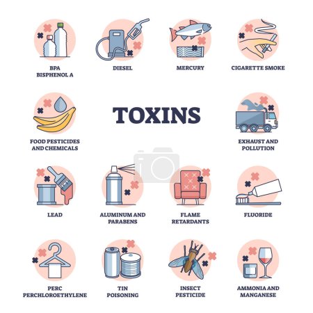 Toxins and dangerous chemical substances for human health outline diagram. Labeled educational examples collection with poisons and body contamination fluids from everyday objects vector illustration