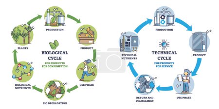 Cradle to Cradle als Skizze eines nachhaltigen und ökologischen Lebenszyklus. Etikettiertes Bildungssystem mit Produktions- und Produktionssystem für Recycling oder Materialwiederverwendung