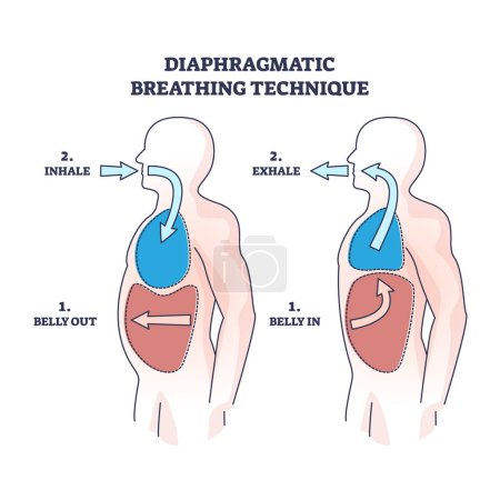 Illustration for Diaphragmatic breathing technique with inhale and exhale outline diagram. Labeled educational scheme with anatomical lung and belly movement or position vector illustration. Respiratory flow practice - Royalty Free Image