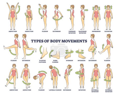 Body movement types with medical physical motion explanation outline diagram. Labeled educational anatomy scheme with healthy leg, arm or shoulders rotation, extension or inversion vector illustration