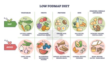 Low FODMAP diet and food with healthy carbohydrates list outline diagram. Labeled educational scheme with groceries for easy digestive processing vector illustration. Avoid and include these items.