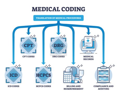Illustration for Medical coding and translation of medicine health procedures outline diagram. Labeled educational scheme with diagnosis, equipment and services information alphanumeric codes vector illustration. - Royalty Free Image