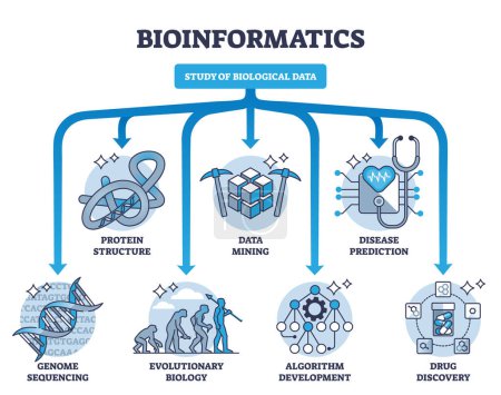 Illustration for Bioinformatics as study and research of biological data outline diagram. Labeled educational scheme with protein structure, sequencing, data mining and disease prediction division vector illustration - Royalty Free Image