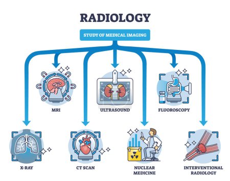 Téléchargez les illustrations : Radiologie comme étude de l'imagerie médicale et schéma de division technique. Schéma éducatif étiqueté avec IRM, échographie, fluoroscopie ou radiographie pour l'illustration vectorielle de diagnostic de maladie ou de traumatisme - en licence libre de droit