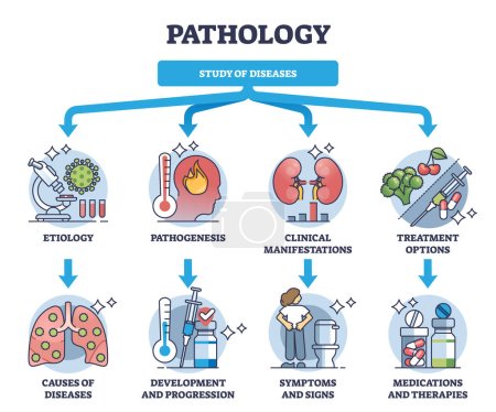 Schéma sommaire de la pathologie et de l'étude des maladies dans le domaine médical. Schéma éducatif étiqueté avec étiologie, pathogenèse, manifestations cliniques et options de traitement illustration vectorielle