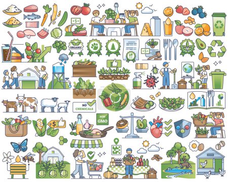 Organic food and local farmer vegetables harvest in outline collection set. Elements with vegetables, fruits, meat, fish and green healthy groceries from farmer vector illustration. Natural and fresh