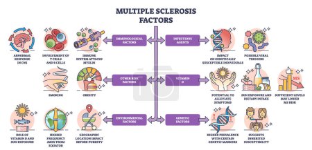 Multiple Sklerose-Faktoren als MS-Krankheit Risiken und Ursachen skizzieren Diagramm. Etikettiertes Bildungssystem mit immunologischen, infektiösen, ökologischen oder genetischen Auswirkungen auf die Gesundheit