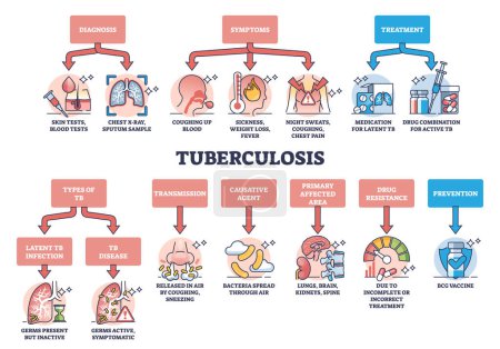 Key aspects of tuberculosis or TB respiratory lung disease outline diagram. Labeled educational bacterial illness description with diagnosis, symptoms, treatment and explanation vector illustration.