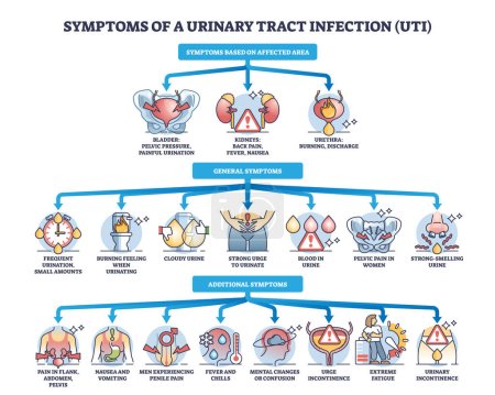 Symptoms of urinary tract infection or UTI bladder disease outline diagram. Labeled educational scheme with affected area, general and additional symptomatic for urology problem vector illustration.