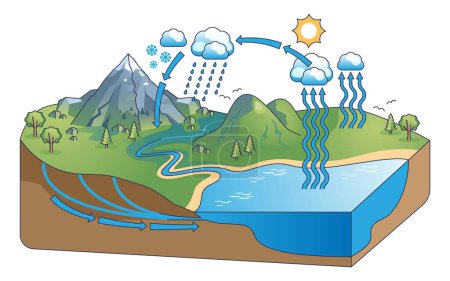 Wasserkreislaufdiagramm mit Niederschlags- und Kondensationskonzept. Bildungsschema mit Erklärung von Naturprozessen und Darstellung von Klima-Ökosystem-Vektoren. Studie Hydrobilanz auf der Erde.