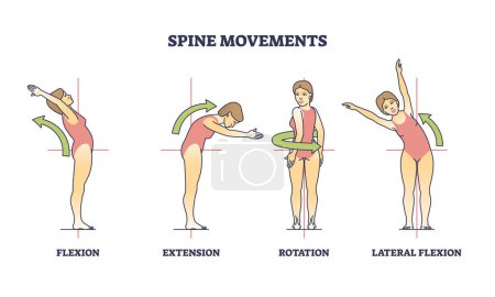 Los movimientos de la columna vertebral con flexión, extensión y rotación plantean diagrama de contorno. Esquema médico educativo etiquetado con flexión hacia atrás e ilustración vectorial de flexibilidad. Estirar las partes de la columna lumbar.