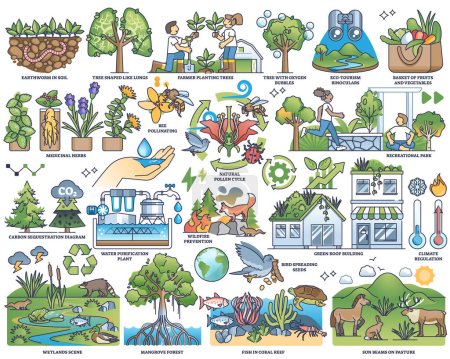 Ecosystem services items with environment protection outline collection set. Labeled ecological scenes with wildlife awareness, save nature resources and biodiversity conservation vector illustration
