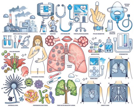 Illustration for Pulmonology as medical lung health diagnosis and treatment outline collection set. Labeled elements with respiratory breathing organ examination, disease therapy and checkup vector illustration. - Royalty Free Image
