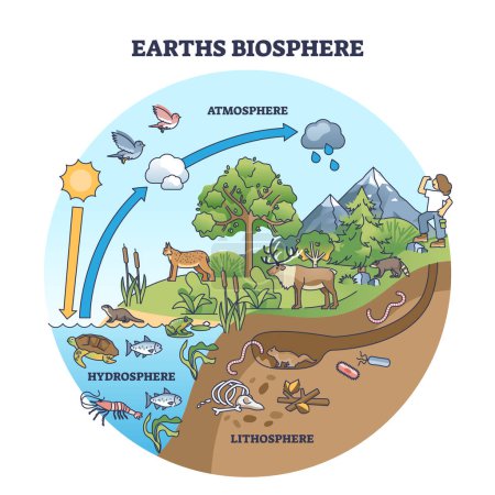 Ilustración de Biosfera terrestre con diagrama de contorno de atmósfera, hidrosfera y litosfera. Esquema educativo etiquetado con ciclo de agua natural y ciclo de precipitación biológica en la ilustración de vectores de ecosistemas. - Imagen libre de derechos
