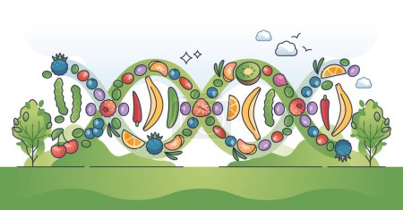 Nutrigenomics as nutrient and micronutrients impact on genome outline concept. DNA change from healthy lifestyle and eating habits vector illustration. Gene improvement with organic food consumption.