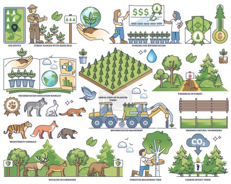 Reforestation growth and ecosystem management in outline collection set. Éléments étiquetés avec illustration vectorielle de protection de la nature et de la biodiversité. Restauration et conservation de l'habitat animal.