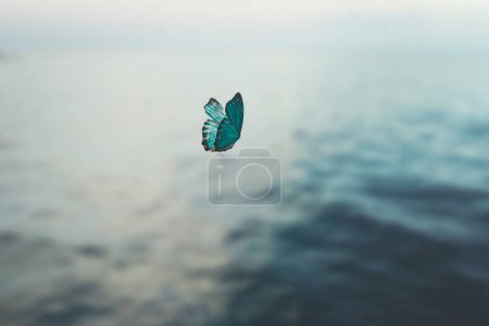 Téléchargez les photos : Adventurous butterfly flies over the sea, abstract concept - en image libre de droit