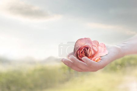 Foto de Gentle gesture of a hand giving a rose, abstract concept - Imagen libre de derechos