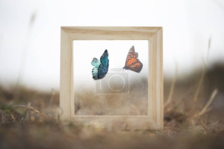 Téléchargez les photos : Rencontre surréaliste entre deux papillons se sépare d'un verre d'un cadre, concept de vie - en image libre de droit