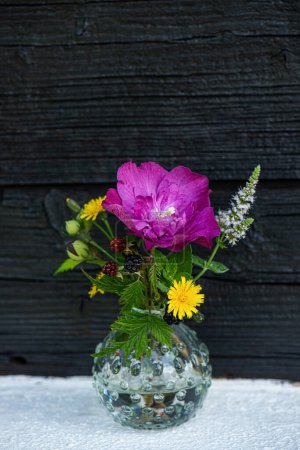 Foto de Flor de hibisco gigante en el fondo de la naturaleza - Imagen libre de derechos