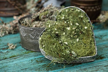 Téléchargez les photos : Coeur en métal avec lichen frais sur fond en bois - en image libre de droit