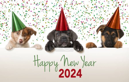 Foto de Feliz año nuevo perros mira por encima de una pared - Imagen libre de derechos