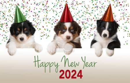 Téléchargez les photos : Bonne année chiens regarde sur un mur - en image libre de droit