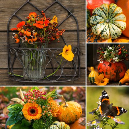 Foto de Collage de diferentes fotos de flores - Imagen libre de derechos
