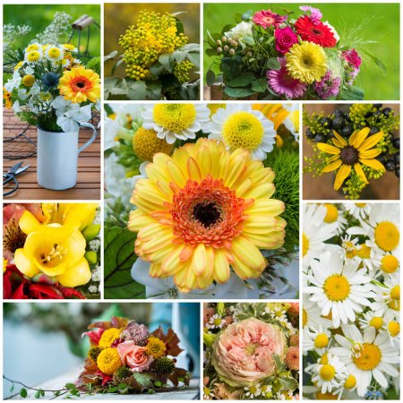 Téléchargez les photos : Collage de différentes photos de fleurs - en image libre de droit