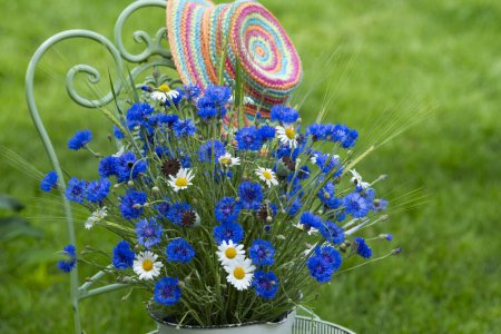 Photo for Corn flower bouquet on a garden chair - Royalty Free Image