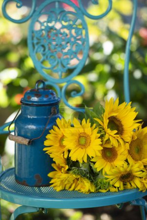 Téléchargez les photos : Bouquet de fleurs de tournesol sur une chaise de jardin - en image libre de droit