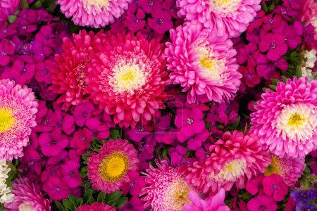 Téléchargez les photos : Vue de dessus des fleurs colorées - en image libre de droit