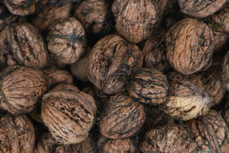 Photo for Many fresh walnuts in a metal basket - Royalty Free Image