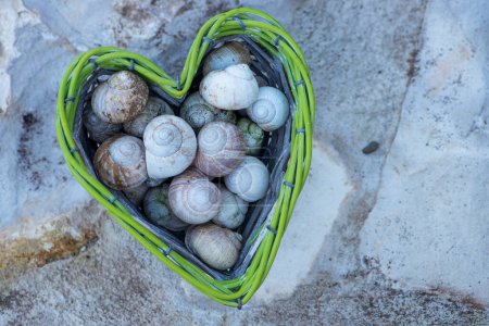 Empty snail shells in a heart-shaped basket on stone background