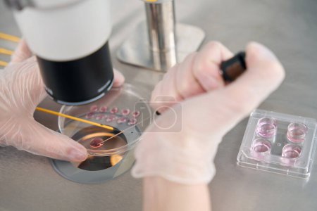 Photo for Embryologist places the embryos in a special straw for vitrification, he uses special equipment - Royalty Free Image