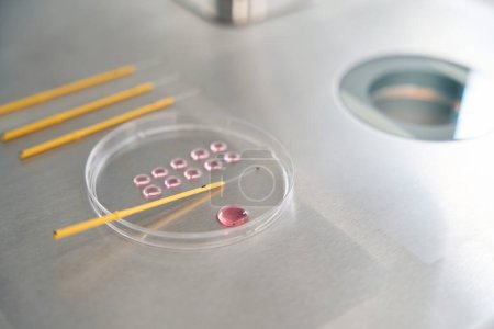 Photo for Drops of biomaterial on a special glass and straws for embryos are on the laboratory table - Royalty Free Image